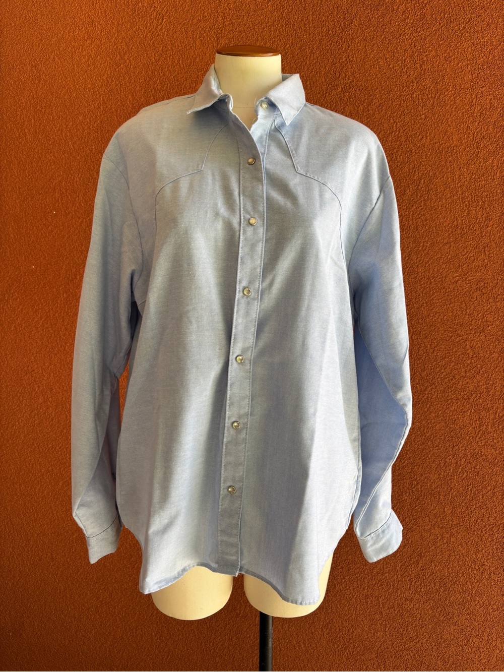 Classic Light Blue Button-Down Shirt